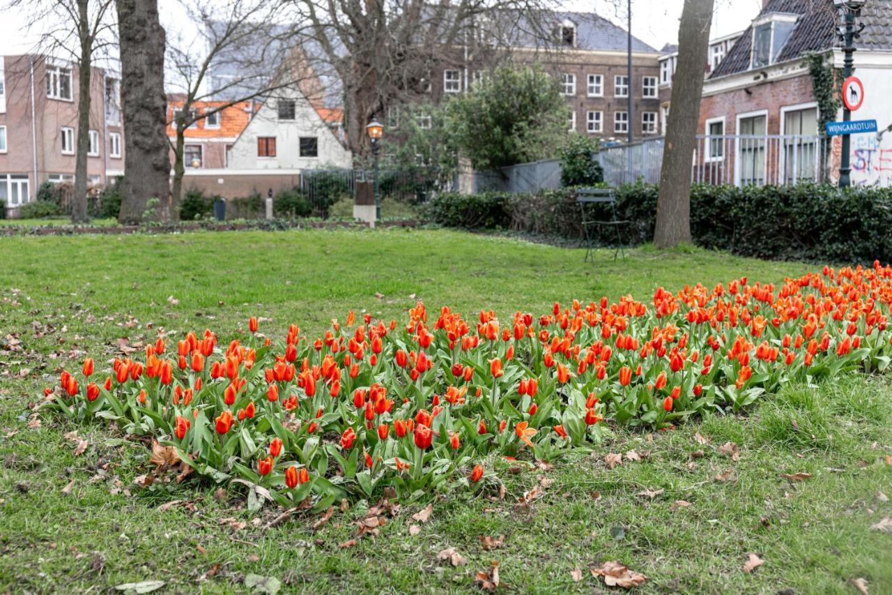 Haarlem Vineyard House Villa Dış mekan fotoğraf